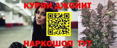 шишки Можга