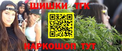 спиды Моздок
