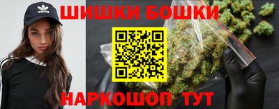 шишки Можга