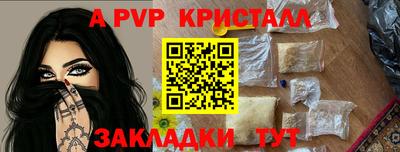 спиды Моздок