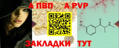 шишки Можга
